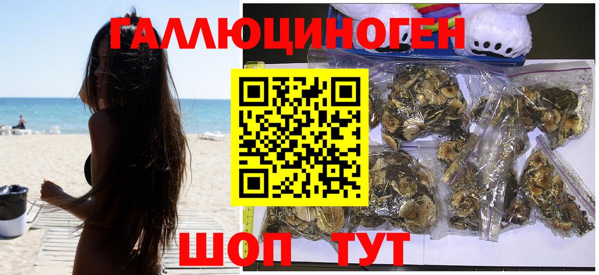 Псилоцибиновые грибы Magic Shrooms  Вход с VPN  купить наркотик  Сосновый Бор 