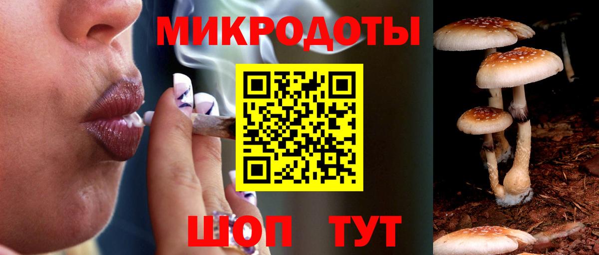 Псилоцибиновые грибы MAGIC MUSHROOMS Сосновый Бор